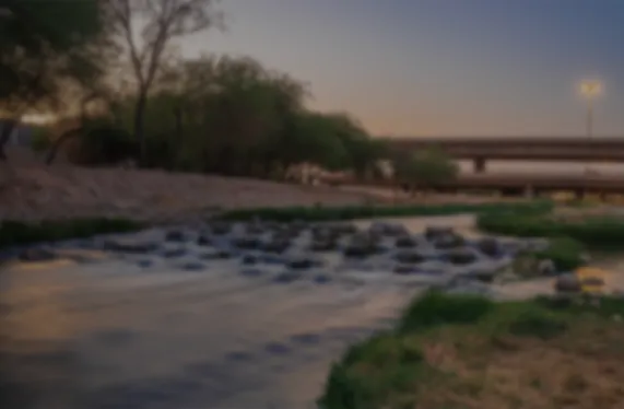 اليوم العالمي للأراضي الرطبة