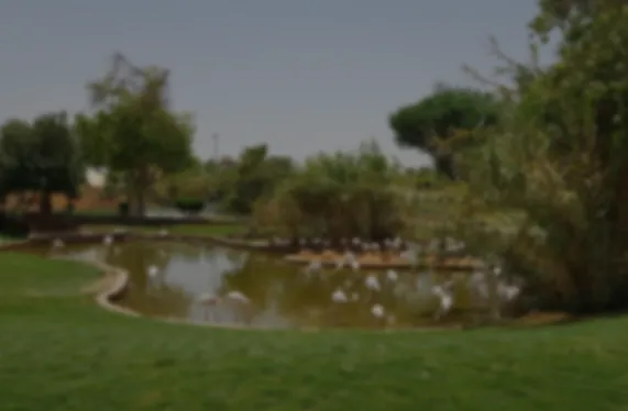 اليوم العالمي للأحياء البرية