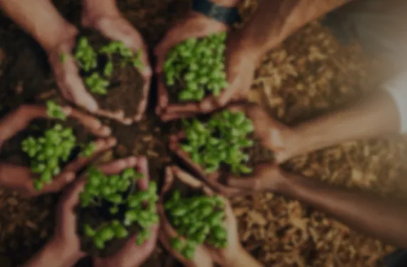 اليوم العالمي للبيئة