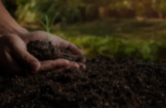 اليوم العالمي للتربة