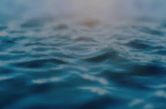 اليوم العالمي للمياه