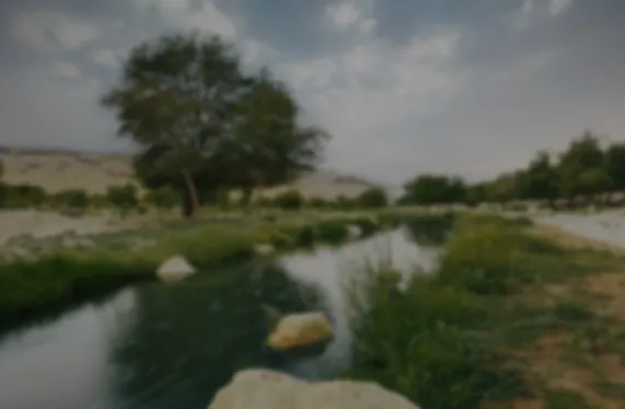 اليوم العالمي لمكافحة التصحر والجفاف