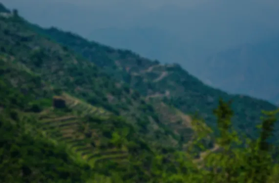 يوم مبادرة السعودية الخضراء