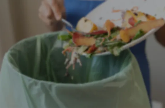 اليوم الدولي للتوعية بالفاقد والمهدر من الغذاء