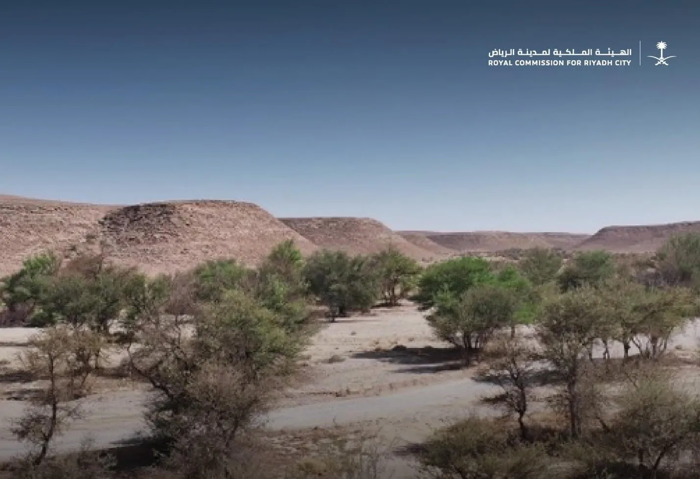 مجلس إدارة الهيئة الملكية لمدينة الرياض يعلن بدء أعمال التسوير وزراعة مليون شجرة في محمية طويق