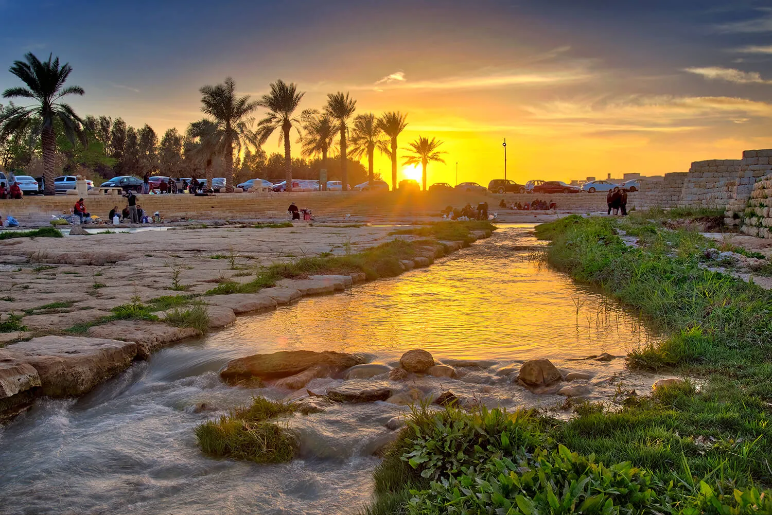 برنامج التأهيل البيئي لوادي حنيفة وروافده